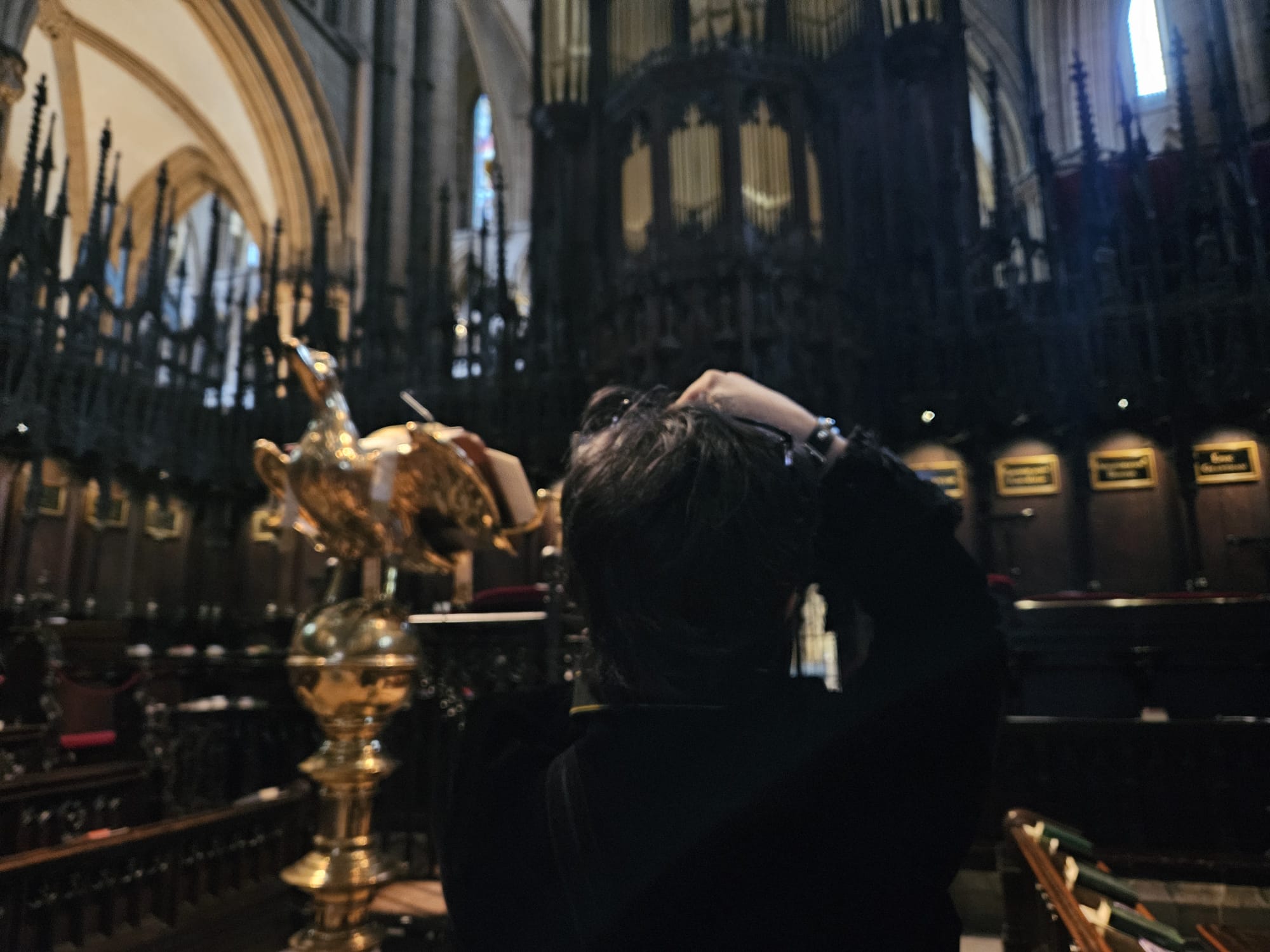 whatsapp image 2026 01 29 at 2.55.24 pm